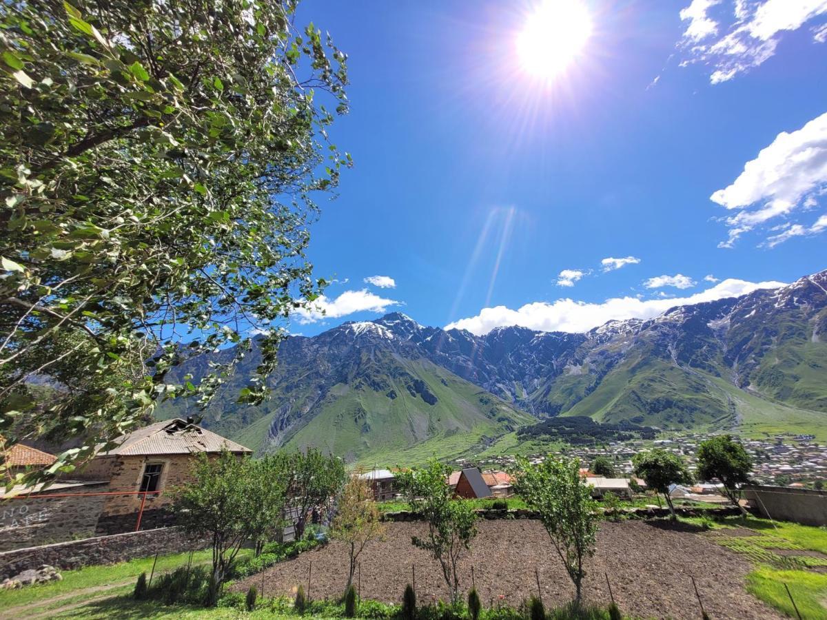 Pine Chalet Kazbegi Exterior foto
