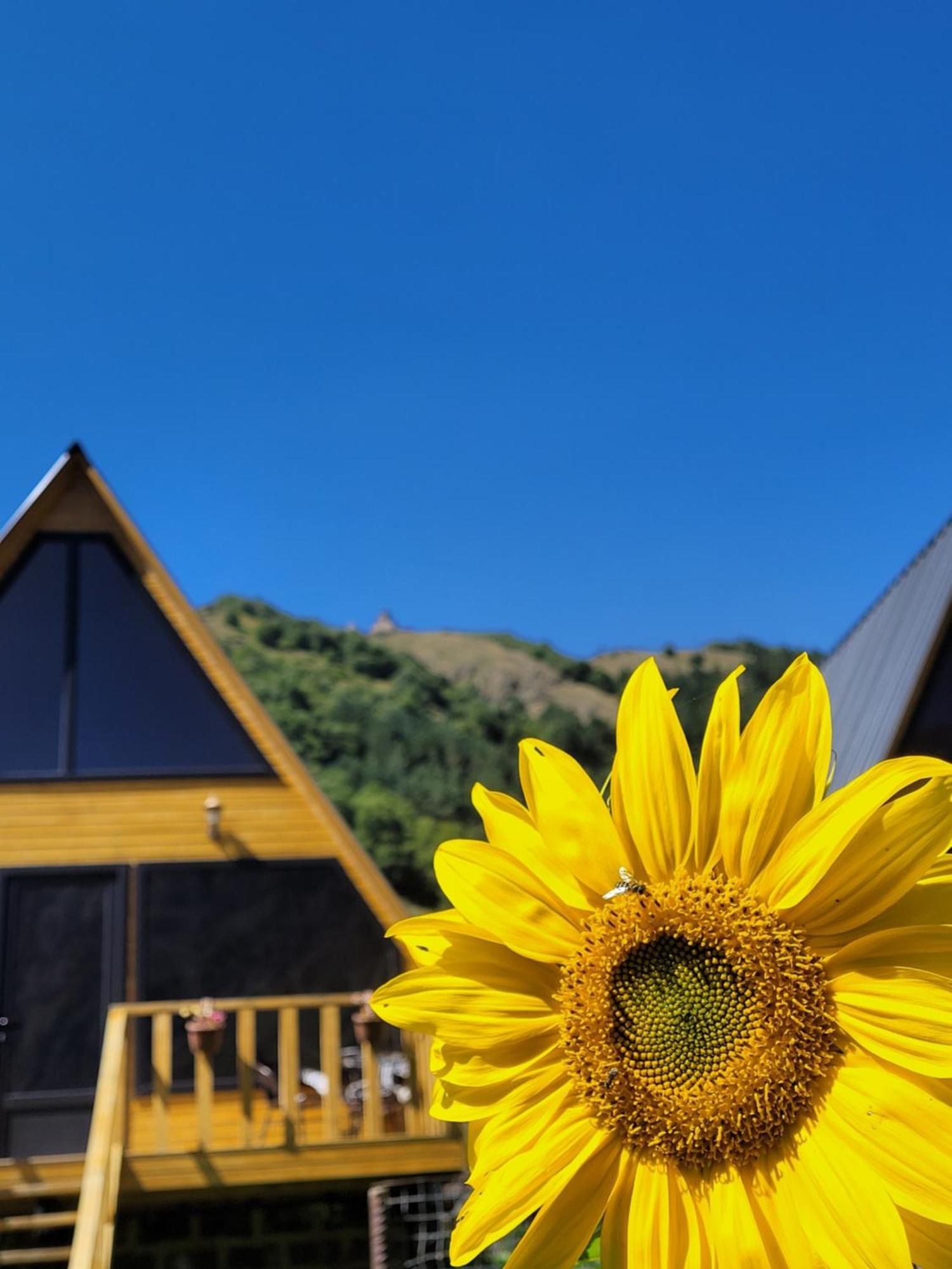 Pine Chalet Kazbegi Exterior foto
